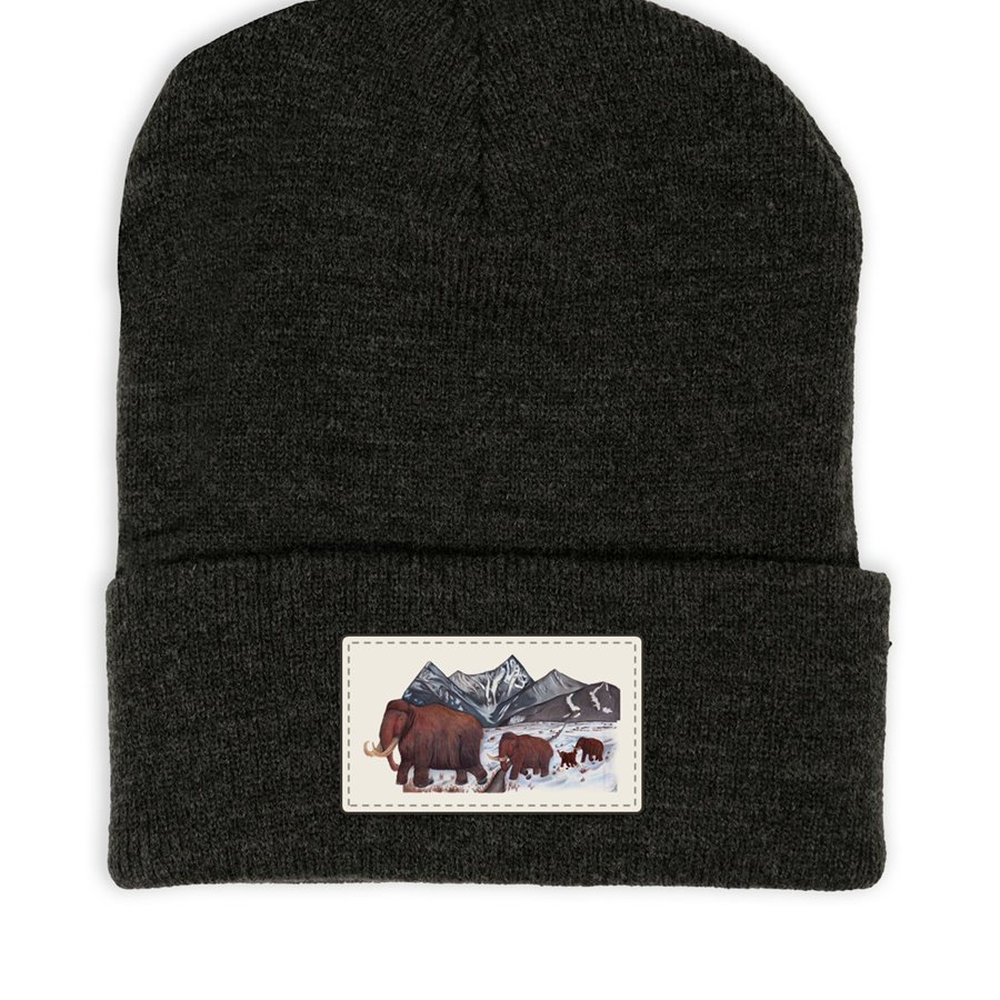 Beanie mock-up with a patch of your Mammoth March drawing